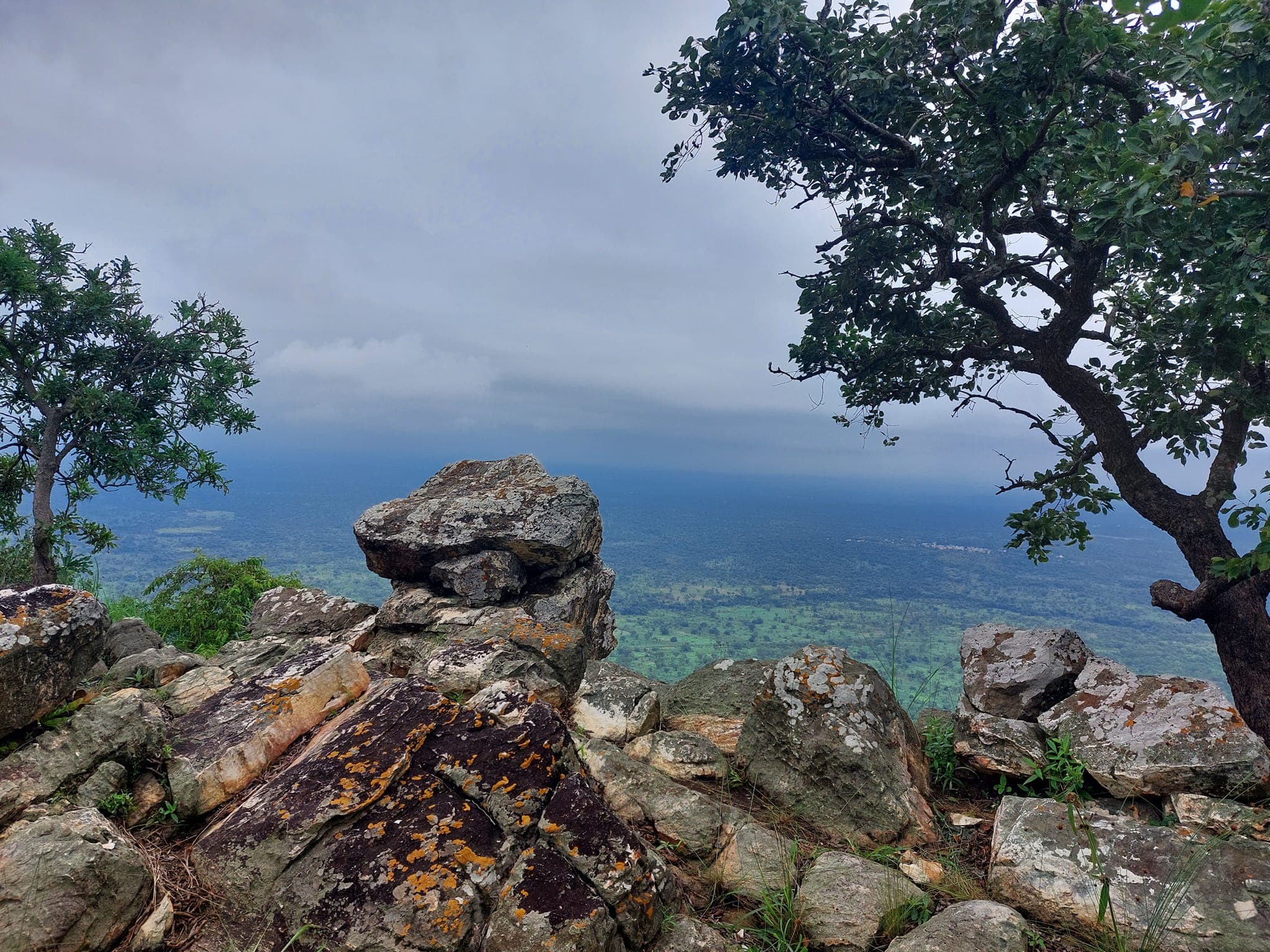 Discover the wild side of Ghana: 8 must-visit National Parks and Reserves for your holiday adventure